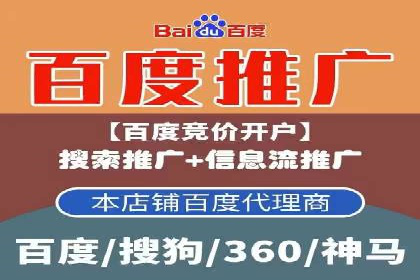 百度推广在电商行业的应用案例分析